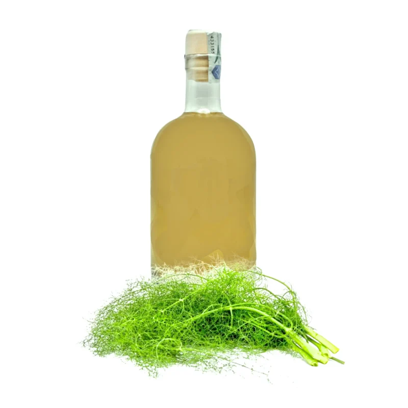 Fennel Liqueur Sorrento